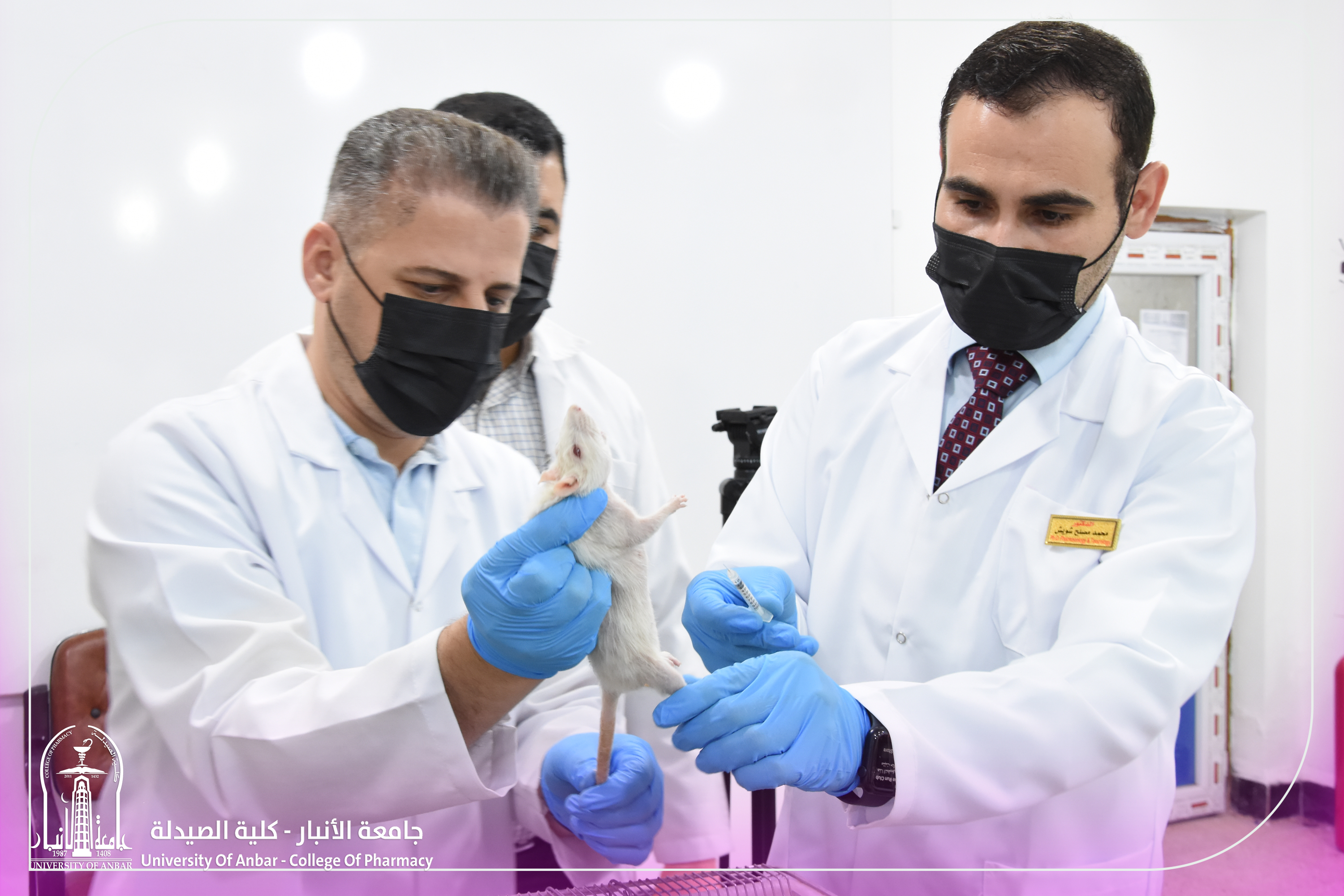 Proper Methods for Isolating Organs from Laboratory Animals
